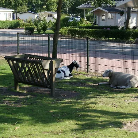Holiday Droompark Molengroet.44 Sint Pancras